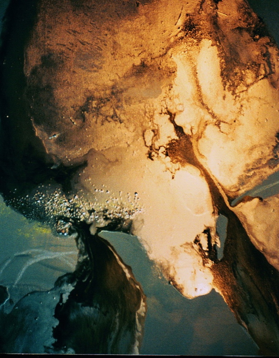 Installation View, for Assassination