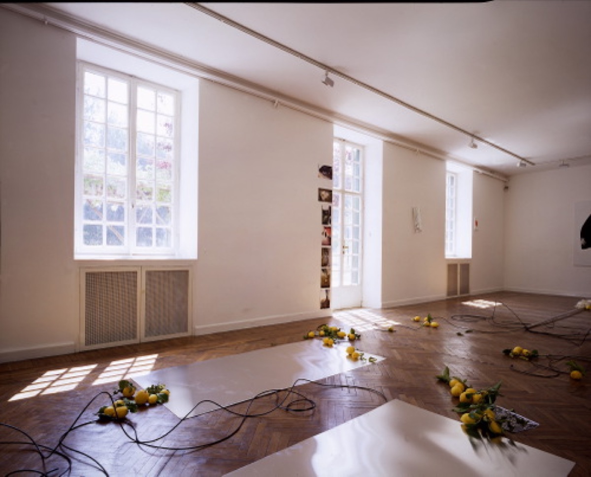 Installation View, Shadowsguns Installationshotbsr, 2006