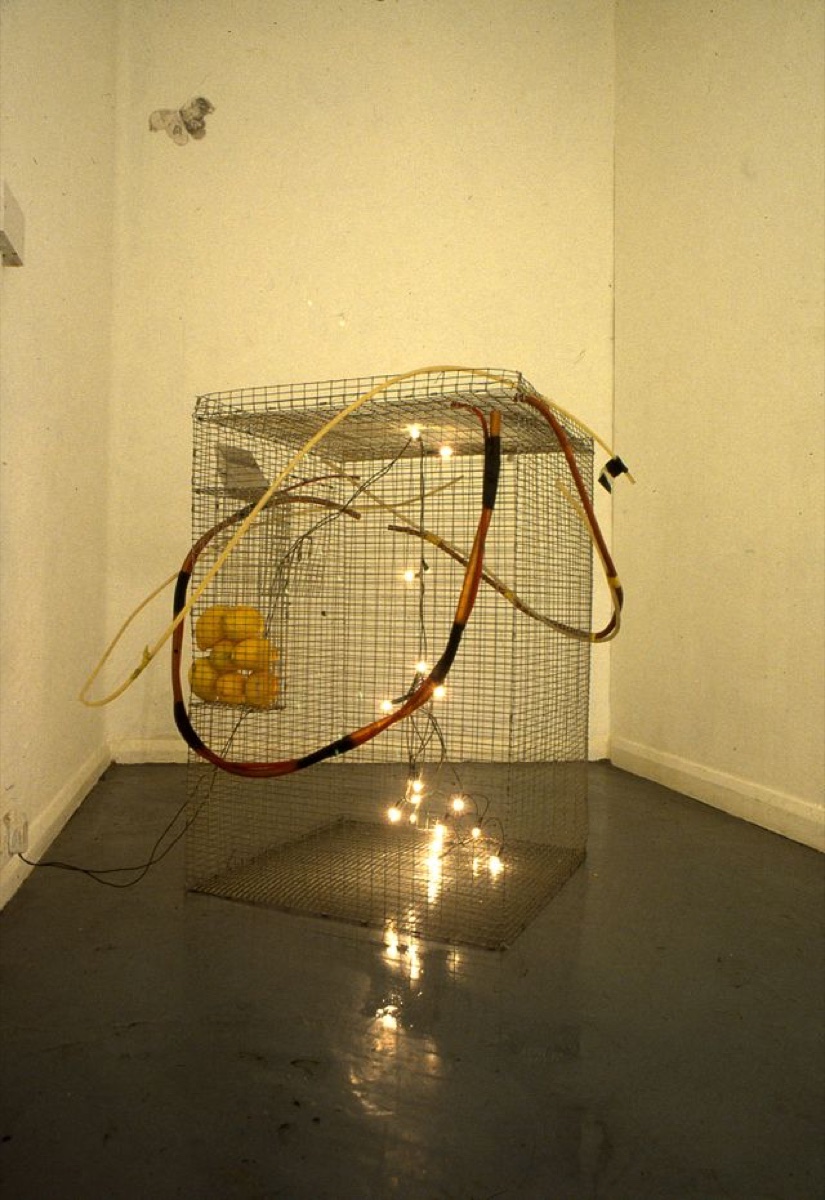 Installation View, Cage
