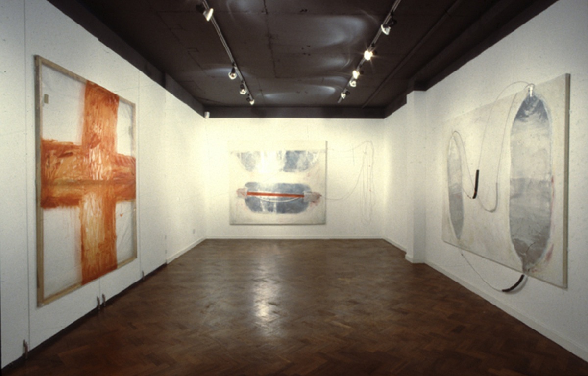 Installation View, Ward 0937 (1)