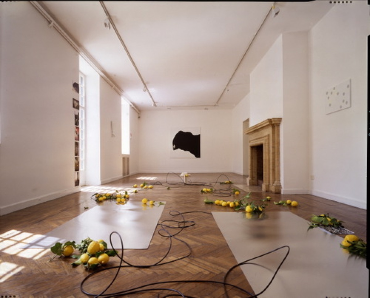 Installation View, Shadowsguns BSR, 1996