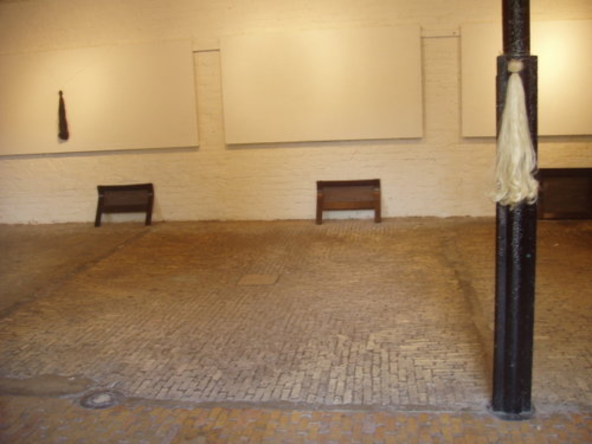 Installation View, Tail Tales (3)