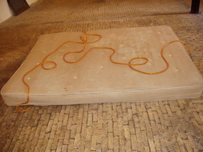 Tail Tales (1)
