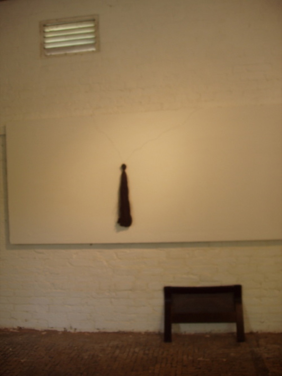 Installation View, Tail Tales (2)